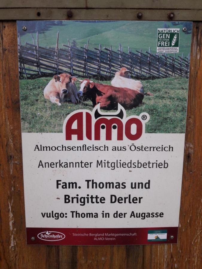 Sommeralmhuette Sankt Kathrein am Offenegg Exterior foto